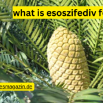 what is esoszifediv found in